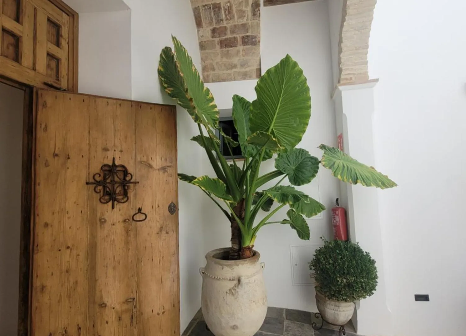 Casa Del Museo - Agua Apartment Medina-Sidonia Spain