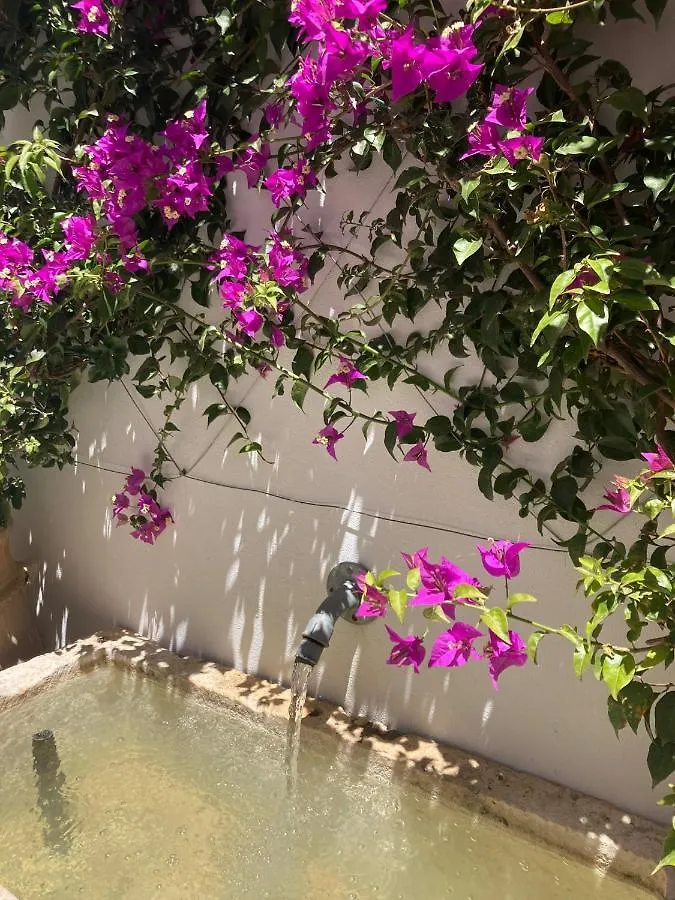 Apartmán Casa Del Museo - Agua Medina-Sidonia